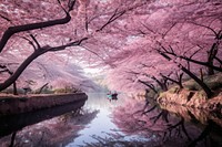 Outdoors blossom nature flower. AI generated Image by rawpixel.