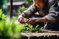 Garden gardening outdoors nature. 