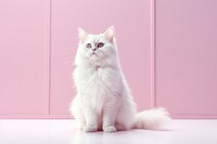 Kitten mammal animal nature. AI generated Image by rawpixel.