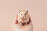 Hamster rodent animal mammal. AI generated Image by rawpixel.