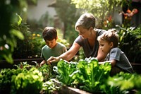 Gardening vegetable outdoors nature. 