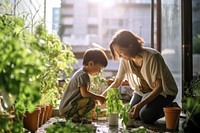 Garden gardening vegetable outdoors. 