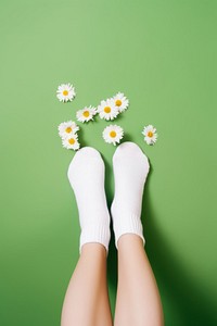 Flower sock plant daisy. 