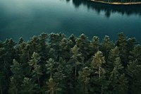 Nature forest lake outdoors. 