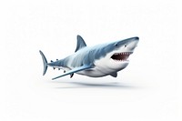 Shark animal fish white background. AI generated Image by rawpixel.