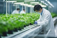 Scientist working adult farm. 