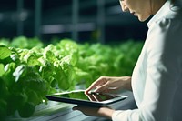 Computer plant farm agriculture. AI generated Image by rawpixel.