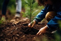 Planting gardening outdoors nature. 