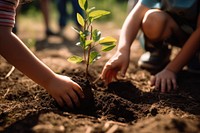 Planting gardening outdoors nature. 