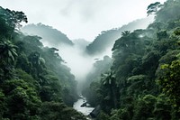 Vegetation rainforest outdoors nature. AI generated Image by rawpixel.