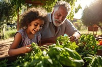 Garden grandfather harvesting gardening. 