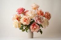 Rose flower plant white. AI generated Image by rawpixel.