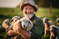 Sheep livestock outdoors portrait. 