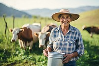 Cow livestock outdoors holding. 