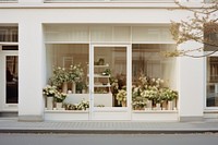 Window flower plant door. 