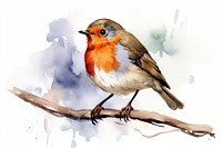 Robin bird animal creativity. 