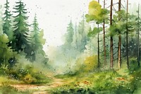 Forest wilderness landscape outdoors