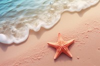 Starfish backgrounds outdoors summer. 