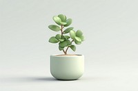 Plant bonsai leaf vase. 