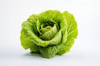 Lettuce vegetable plant food. 