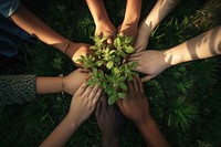 Hand planting outdoors nature. 