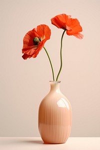 Vase flower poppy plant. 