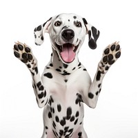 Dalmatian animal mammal pet. AI generated Image by rawpixel.