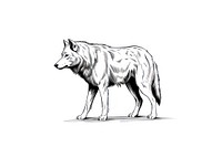 Wolf drawing mammal animal. AI generated Image by rawpixel.