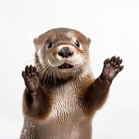 Otter wildlife animal mammal. AI generated Image by rawpixel.