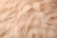 Fur backgrounds textured material. AI generated Image by rawpixel.