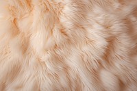 Fur textured material. 