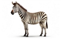 Wildlife animal mammal zebra. AI generated Image by rawpixel.