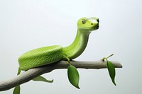 Snake reptile animal branch. AI generated Image by rawpixel.
