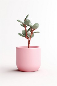 Plant vase leaf pot. 