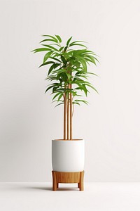 Plant lighting vase leaf. 