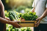 Vegetable organic produce farmer. 