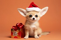 Fennec fox christmas mammal animal. AI generated Image by rawpixel.