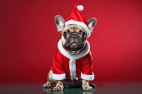 Bulldog christmas mammal animal. AI generated Image by rawpixel.