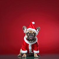 Bulldog christmas mammal animal. AI generated Image by rawpixel.