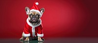 Bulldog christmas mammal animal. AI generated Image by rawpixel.