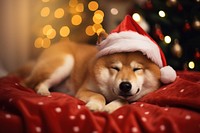 Christmas blanket mammal animal. AI generated Image by rawpixel.