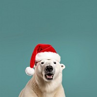 Polar bear christmas mammal animal. 