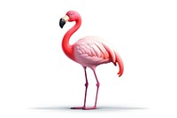 Flamingo bird animal beak. 