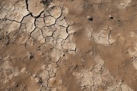 Outdoors nature ground soil. AI generated Image by rawpixel.