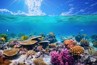 Underwater ocean outdoors nature. 