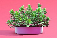 Plant leaf accessories houseplant. AI generated Image by rawpixel.
