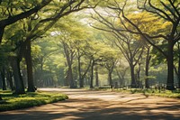 Park landscape outdoors woodland. 