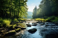 Wilderness landscape outdoors woodland. AI generated Image by rawpixel.