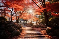 Autumn plant leaf architecture. 