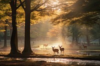 Sunlight wildlife outdoors woodland. AI generated Image by rawpixel.
